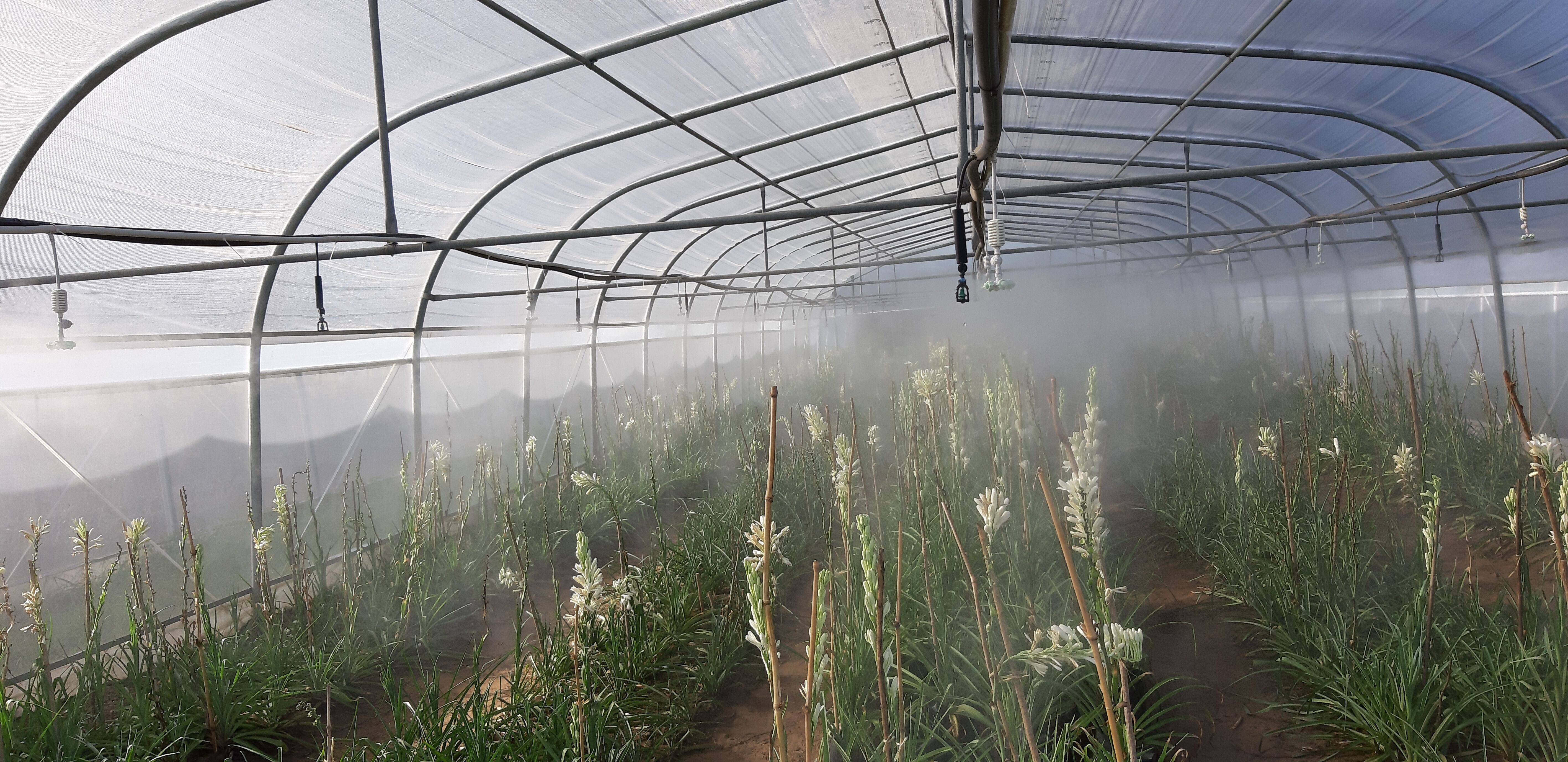 Irrigation Systems